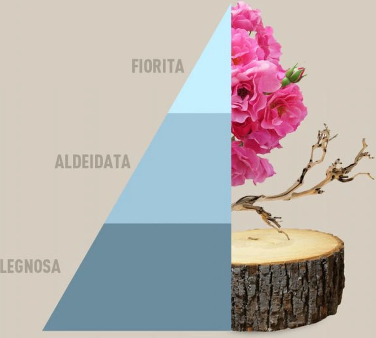 Horomia Wasparfum Fresh Cotton - 500ml 2 Horomia Wasparfum Fresh Cotton - 500ml - Afbeelding 2