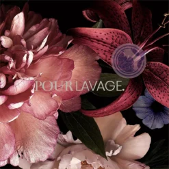 Lavayette Premium Wasparfum - Jasmin Shades - Geurbooster 500ml (Diamante) -Schoonmaakmiddelen 1200x1200 1100