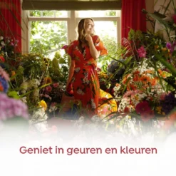 Robijn Klein & Krachtig Color Vloeibaar Wasmiddel - 8 X 19 Wasbeurten - Voordeelverpakking -Schoonmaakmiddelen 1200x1200 250