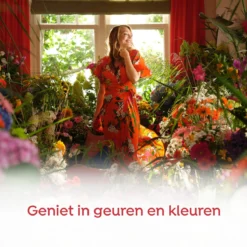 Robijn Color & Passiebloem Wasmiddel En Wasverzachter Pakket - 5 Stuks - Voordeelpakket 15 Robijn Color & Passiebloem Wasmiddel En Wasverzachter Pakket - 5 Stuks - Voordeelpakket -Schoonmaakmiddelen 1200x1200 407