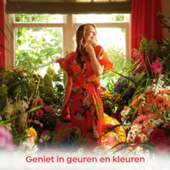 Robijn Klein & Krachtig Color Vloeibaar Wasmiddel - 8 X 20 Wasbeurten - Voordeelverpakking -Schoonmaakmiddelen 1200x1200 423