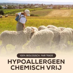 Drogerballen - Droogballen - Wasdrogerballen - Dryerballs - 6 Stuks - XL Formaat - Wol - Set -Schoonmaakmiddelen 1200x1200 782