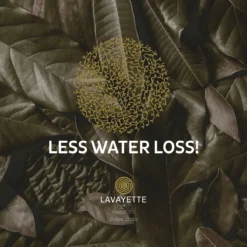 Lavayette XL Drogerballen Met 25ml Wasparfum - WasdrogerBallen – Droogballen – Wasbol – 100% Nieuw-Zeelands Schapenwol – Milieu- En Diervriendelijk – 6 Stuks -Schoonmaakmiddelen 1200x1200 844