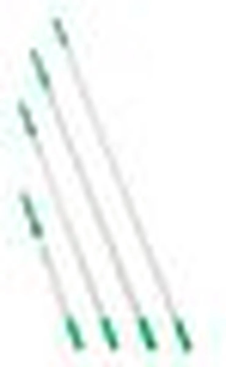 OptiLoc 2-delig 250m 4 OptiLoc 2-delig 250m - Afbeelding 4