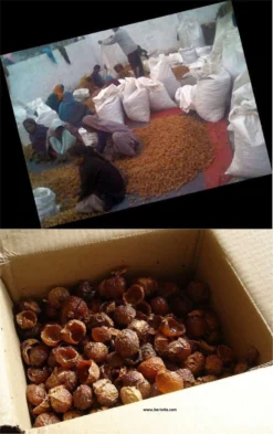 Wasnoten Start 150gr Met Waszakje - Zeepnoten - Natuurlijk Wassen 9 Wasnoten Start 150gr Met Waszakje - Zeepnoten - Natuurlijk Wassen -Schoonmaakmiddelen 755x1200 1